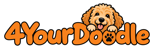 4YourDoodle
